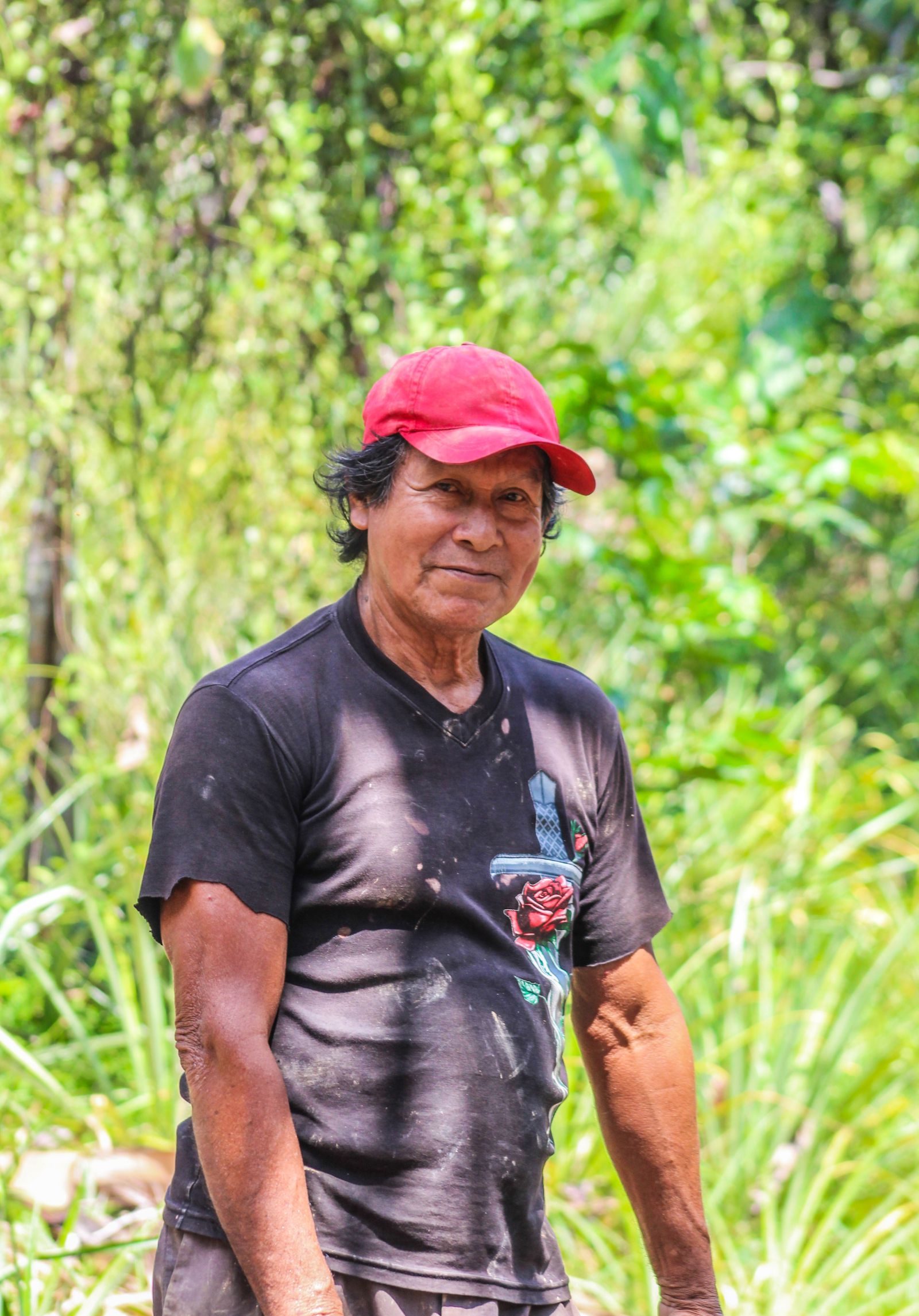 Luis Ipushima Silva